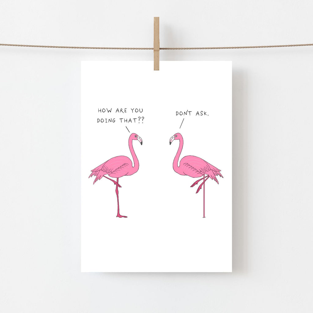 Flamingos