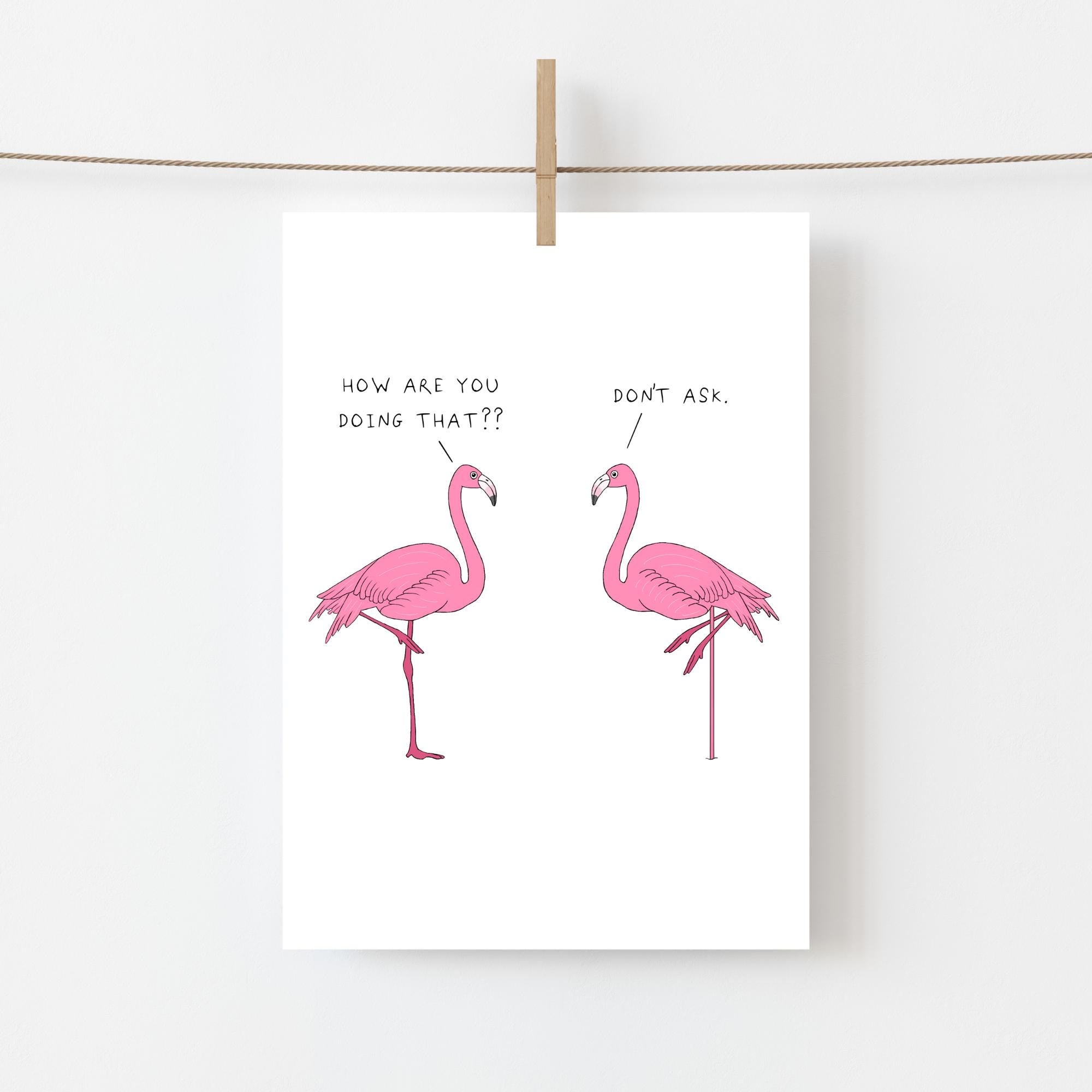Flamingos